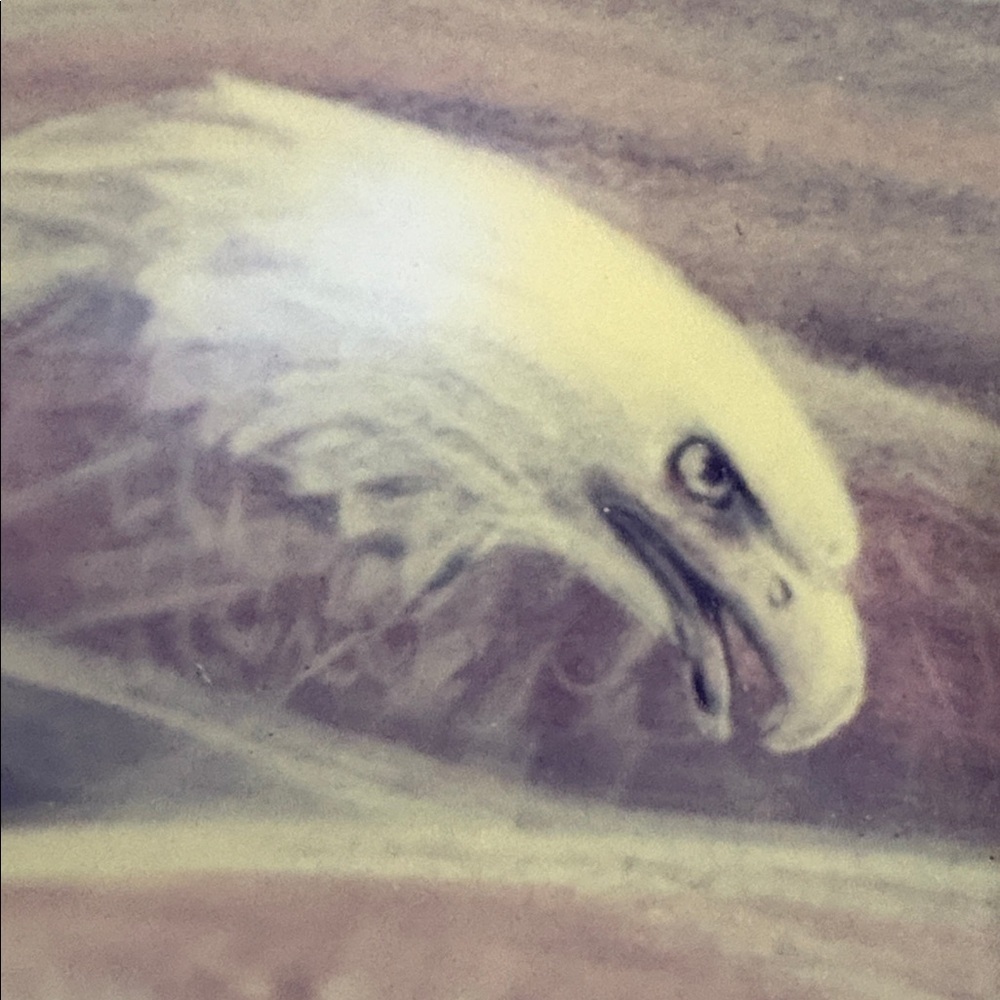 1992 Large Framed Art Ethereal Shaman Native American Design Eagle & Full Moon - Picture 11 of 17